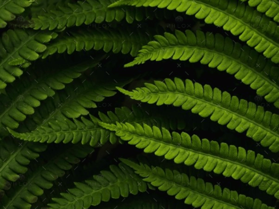 demo-attachment-560-daniel-mirlea-fxiAxNLpoqI-unsplash@2x